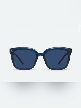 Gentle Monster Sunglasses - Dear
